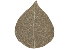 5x6 Brown, Ivory, Color Hand Hooked Leaf Jute loop Contemporary Oriental Rug