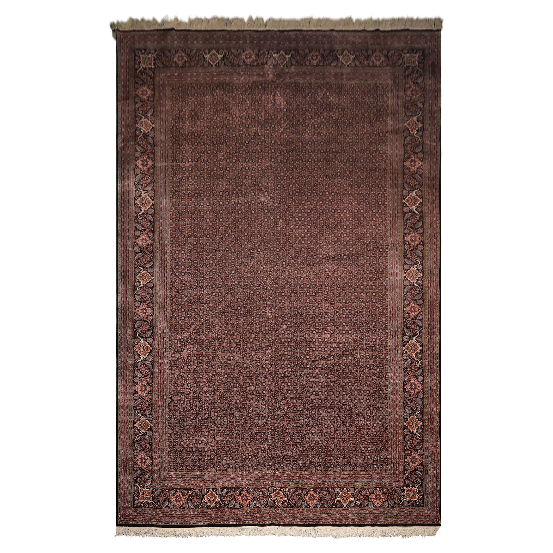 12x18 Black, Rose, Red Color Hand Knotted Sino Persian Wool & Silk Traditional Oriental Rug