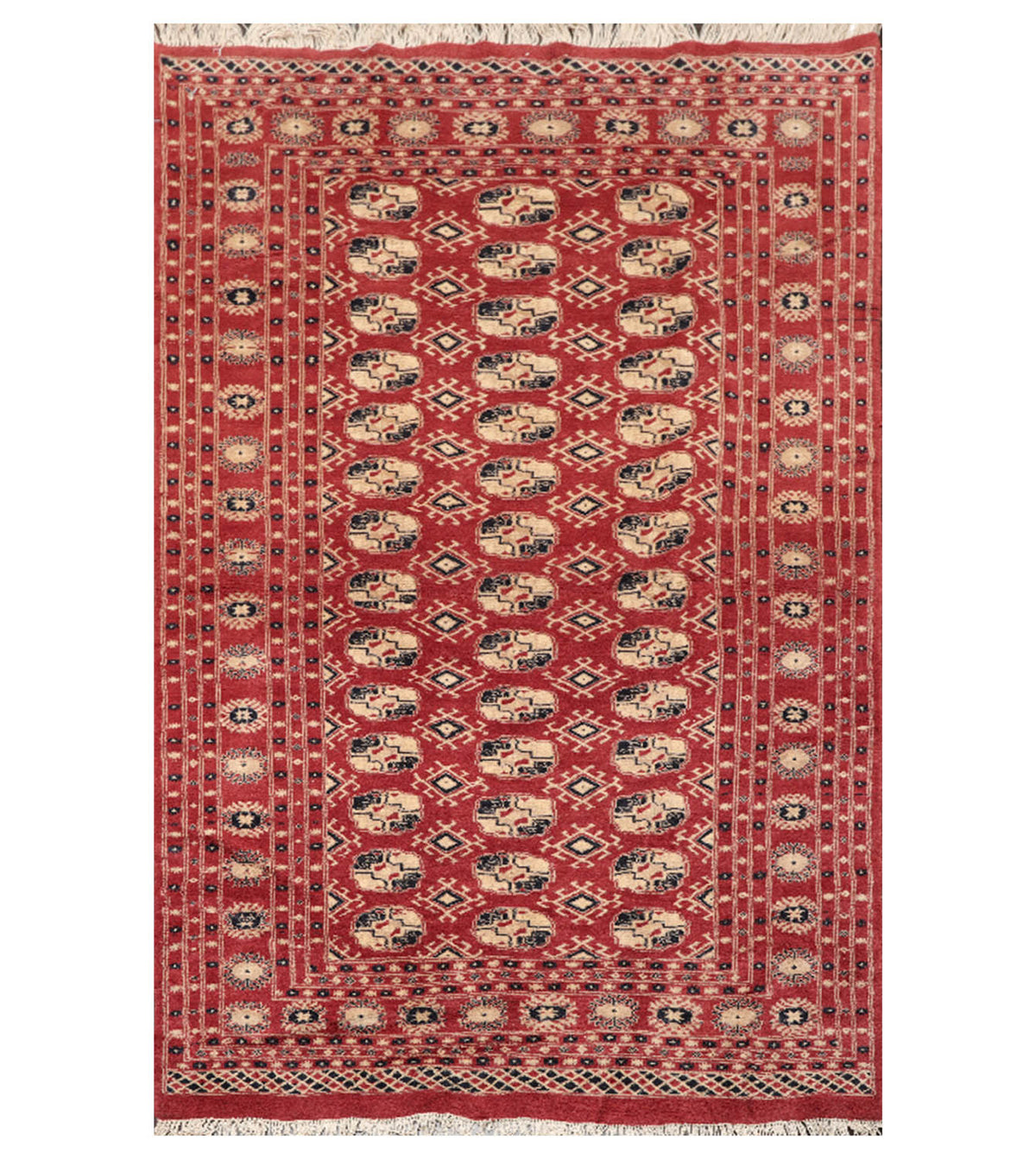4x6 Rust, Beige, Black Color Hand Knotted All-Over 100% Wool Traditional Oriental Rug