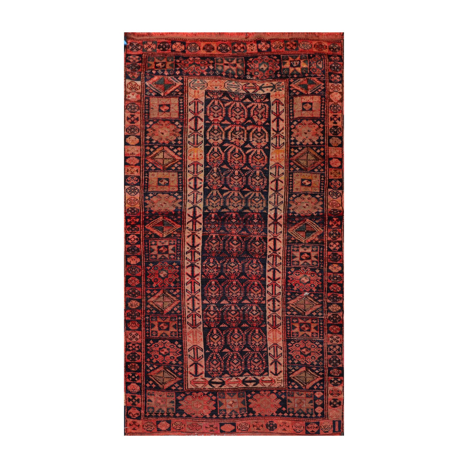 4x6 Melayaar, Coral, Rose Color Hand Knotted All-Over 100% Wool Traditional Oriental Rug