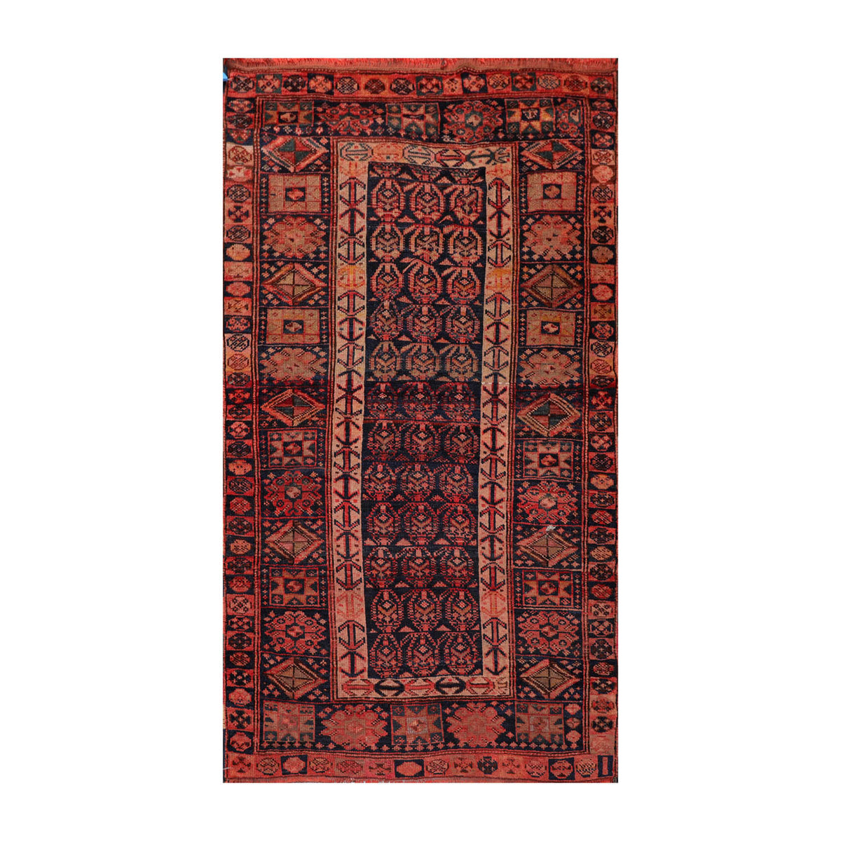 4x6 Melayaar, Coral, Rose Color Hand Knotted All-Over 100% Wool Traditional Oriental Rug