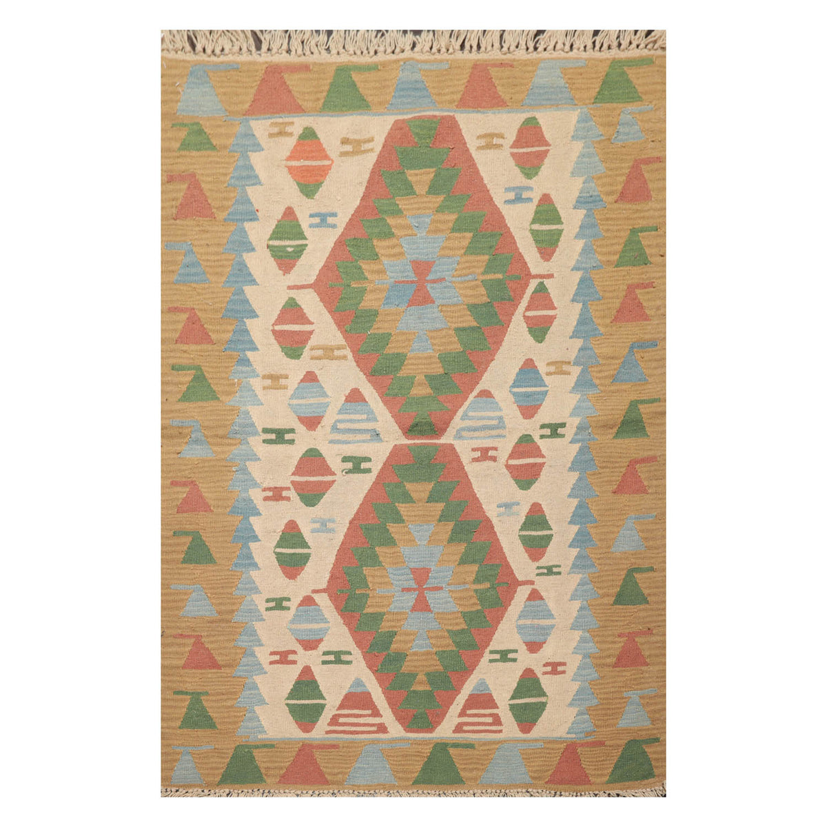 4x6 Beige, Rust, Green Color Hand Woven All-Over 100% Wool Traditional Oriental Rug