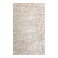 5x7 Gray, , Color Hand Knotted All-Over 100% Viscose Modern Oriental Rug