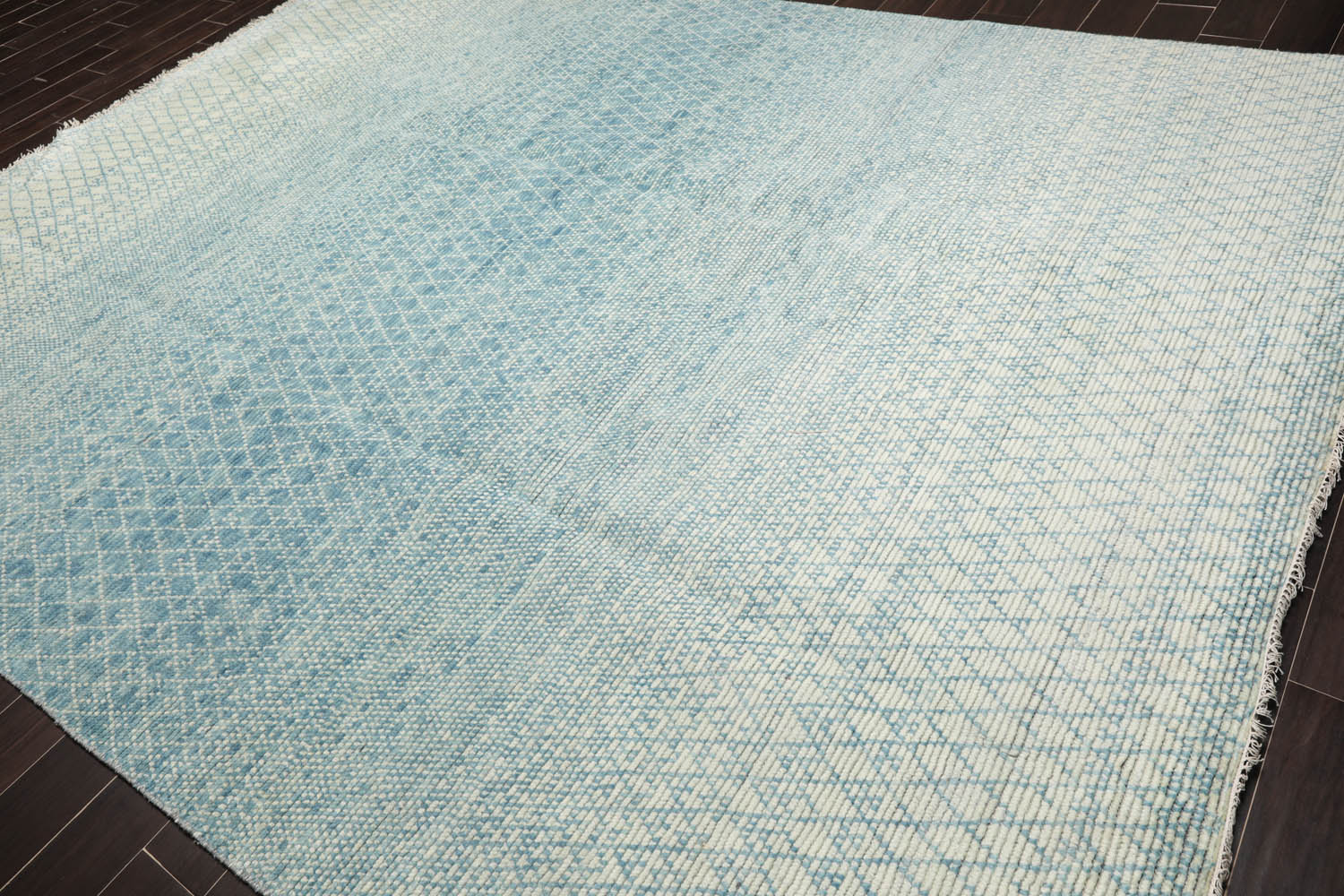 9x12 Aqua, Beige, Color Hand Knotted Grass 100% Wool Modern Oriental Rug