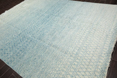 9x12 Aqua, Beige, Color Hand Knotted Grass 100% Wool Modern Oriental Rug