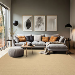 Multi Size Sisal Color Hand Loomed  Wool Contemporary Oriental Rug