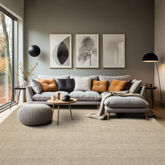Multi Size Beige Graphite Color Hand Loomed  Wool Contemporary Oriental Rug