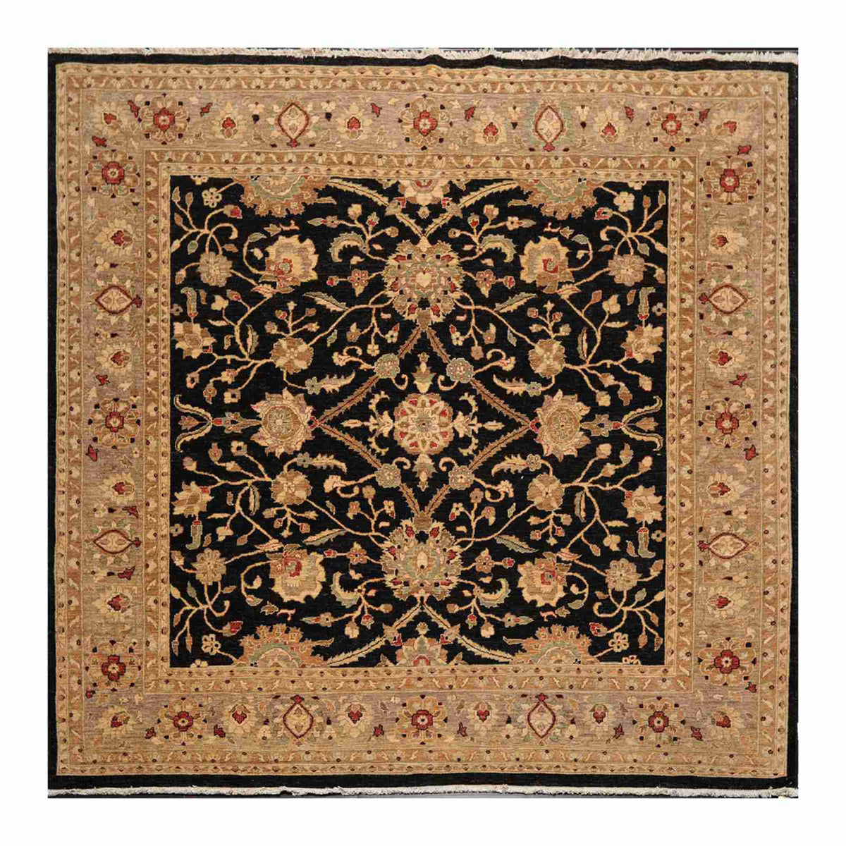 Square Black, Gray, Tan Color Hand Knotted All-Over 100% Wool Traditional Oriental Rug