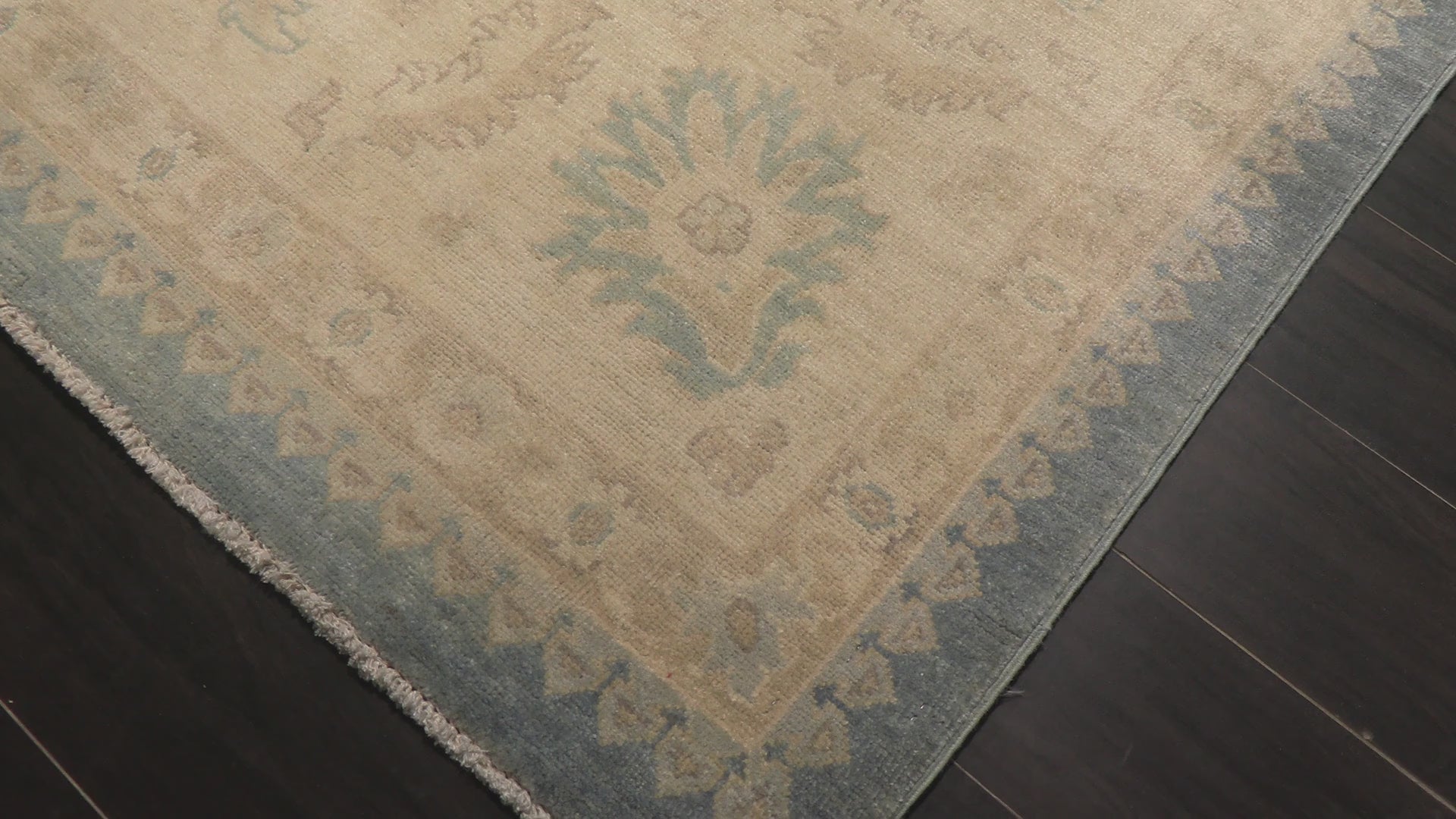 Aqua Ivory 9x12 Chobi Peshawar Traditional Hand Knotted Wool Oriental Area Rug