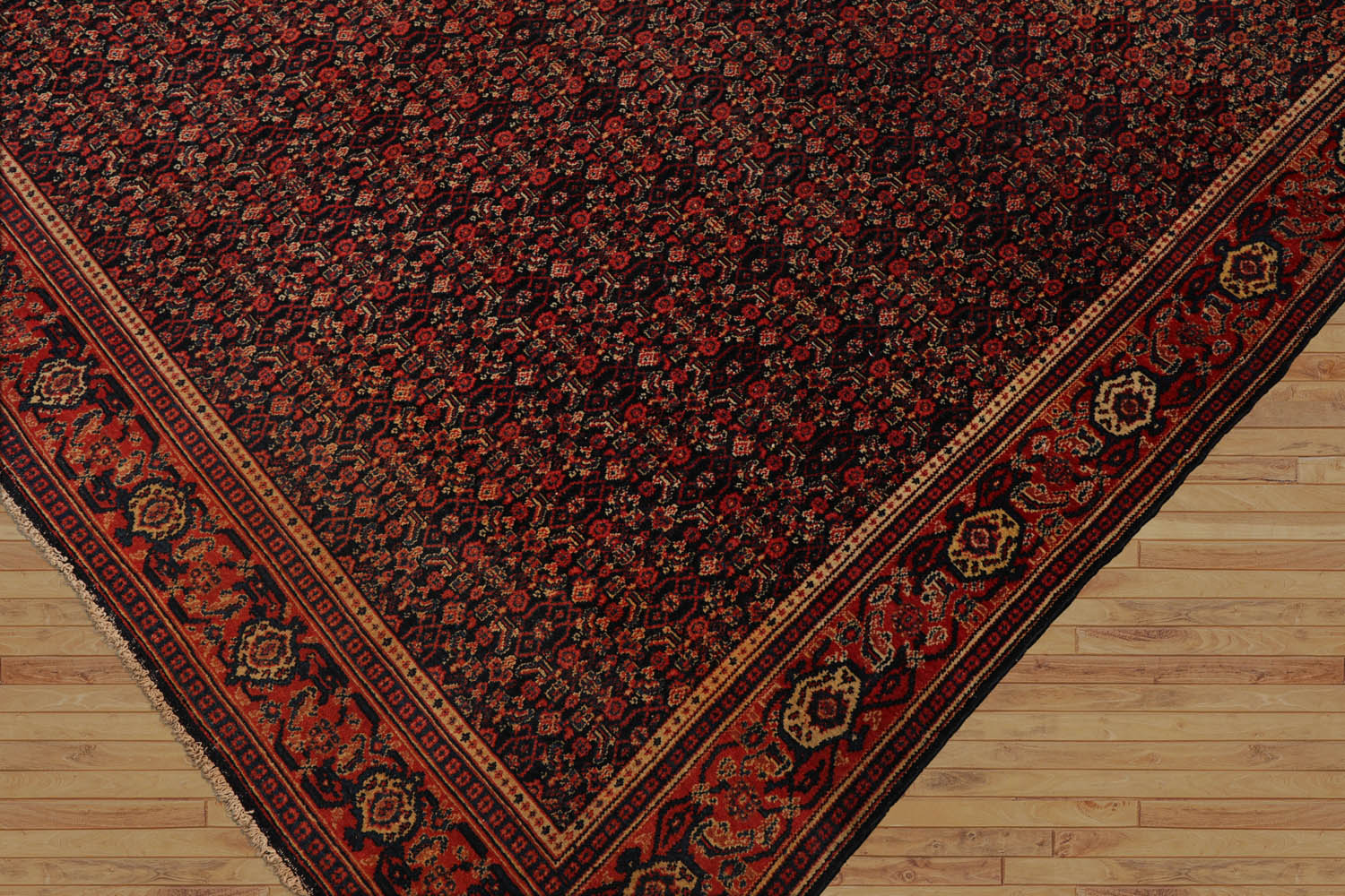 Faedo 10x14 Hand Knotted Persian 100% Wool Antique  Traditional  Oriental Area Rug Black,Orange Color